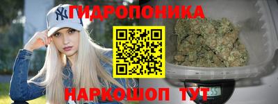 эйфоретик Будённовск