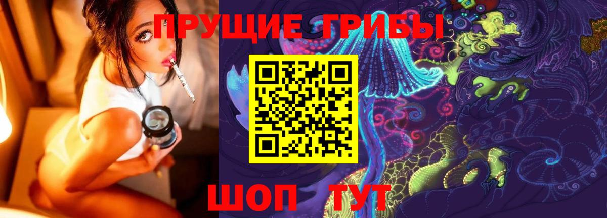 Галлюциногенные грибы Psilocybe Фурманов